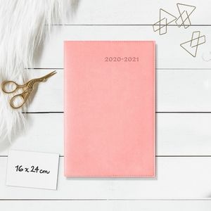 NEW 2020 - 2021 planner/Agenda
